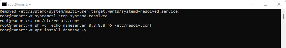 install dnsmasq
