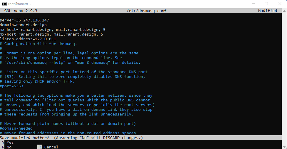 config dnsmasq