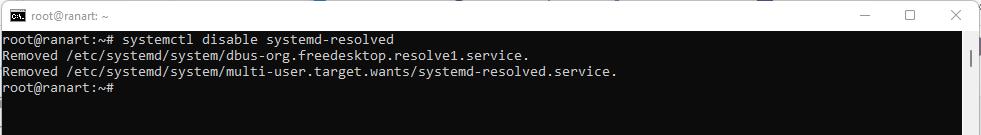 disable system resolv